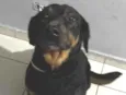 Mel