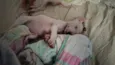 Ravy , Ramsés, Lua, Dengosa