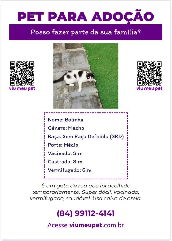 Gato raça SRD-ViraLata idade 5 anos nome Bolinha