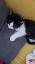 Thomas 