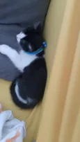 Thomas 