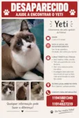 Yeti