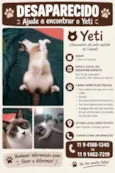 Yeti