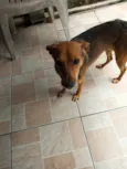 Lili