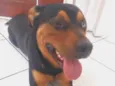 desconhecido