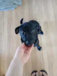 kiara