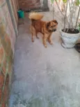 Frederico