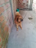 Frederico