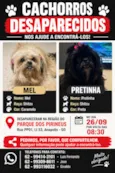 Mel / Pretinha
