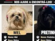 Mel / Pretinha