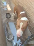 Lucky