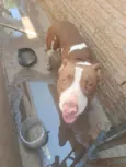 Lucky