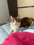 Mel