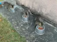 Três irmãos 