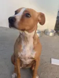 Mel