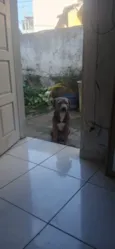 Billy 