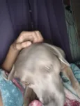 Billy 