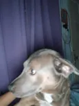 Billy 