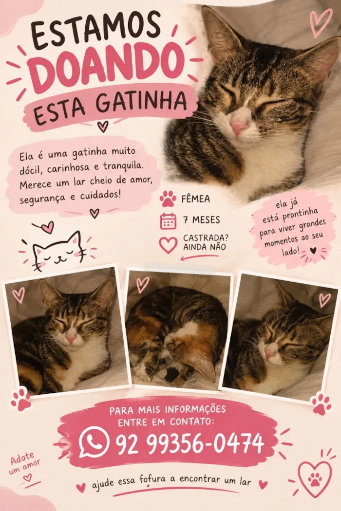 Gato raça SRD-ViraLata idade 7 a 11 meses nome Milla