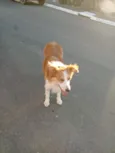 não sei 