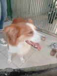 não sei 