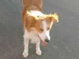 não sei 