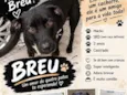 Breu