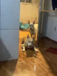 Spike