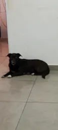 Mel