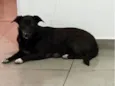 Mel