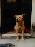 jully 
