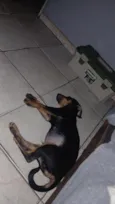 Zeus. 