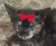 Tina