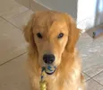 Luke