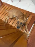 Princesa