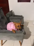 Princesa