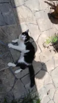 Melvin