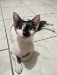 Nina
