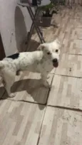 Bartô