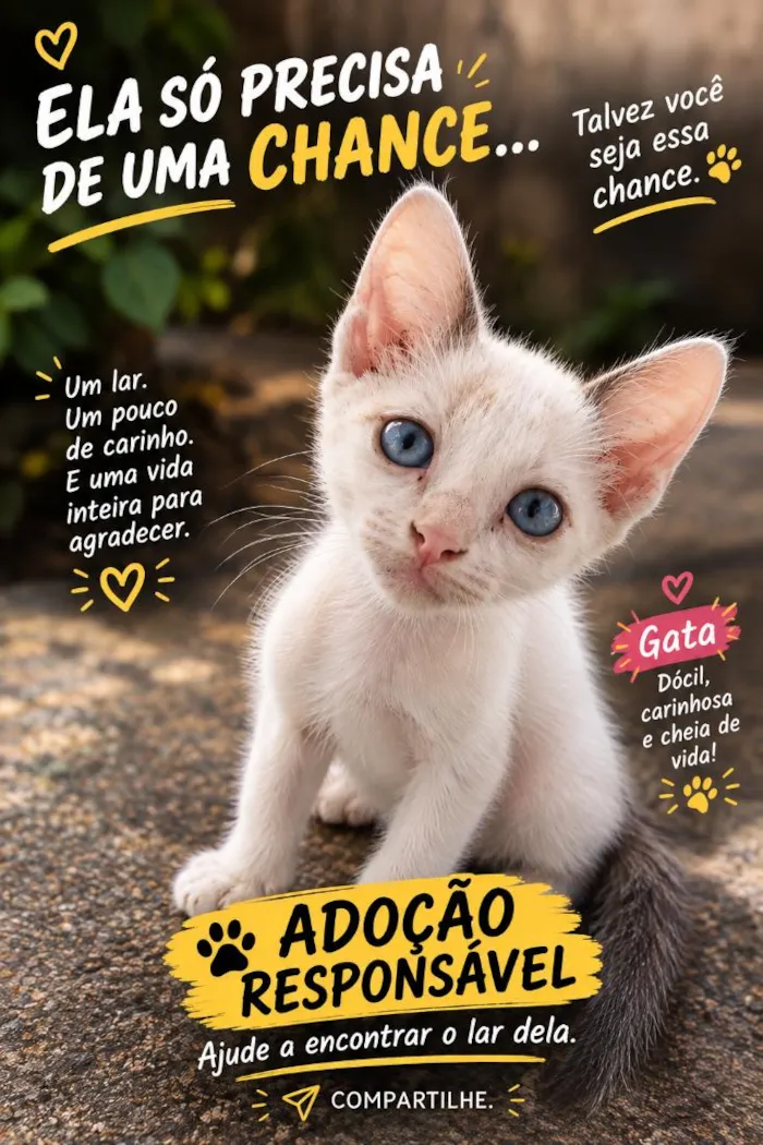 Gato raça SRD-ViraLata idade 2 a 6 meses nome princesa