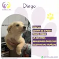 Diego