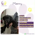 Manny