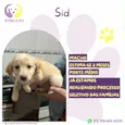 Sid