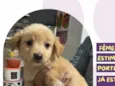 Ellie