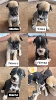 Sem nome 