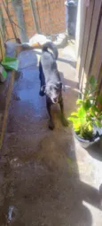 Teo