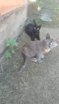 Yris e Paçoca 
