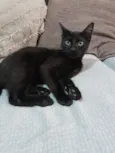 Sombra