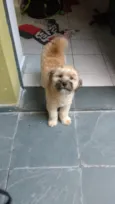Spike