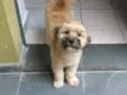 Spike